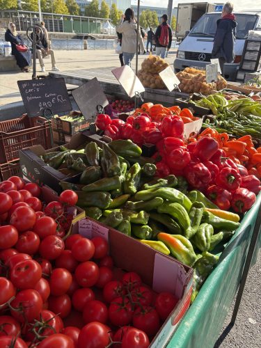 朝倉あみ様　カーン留学1