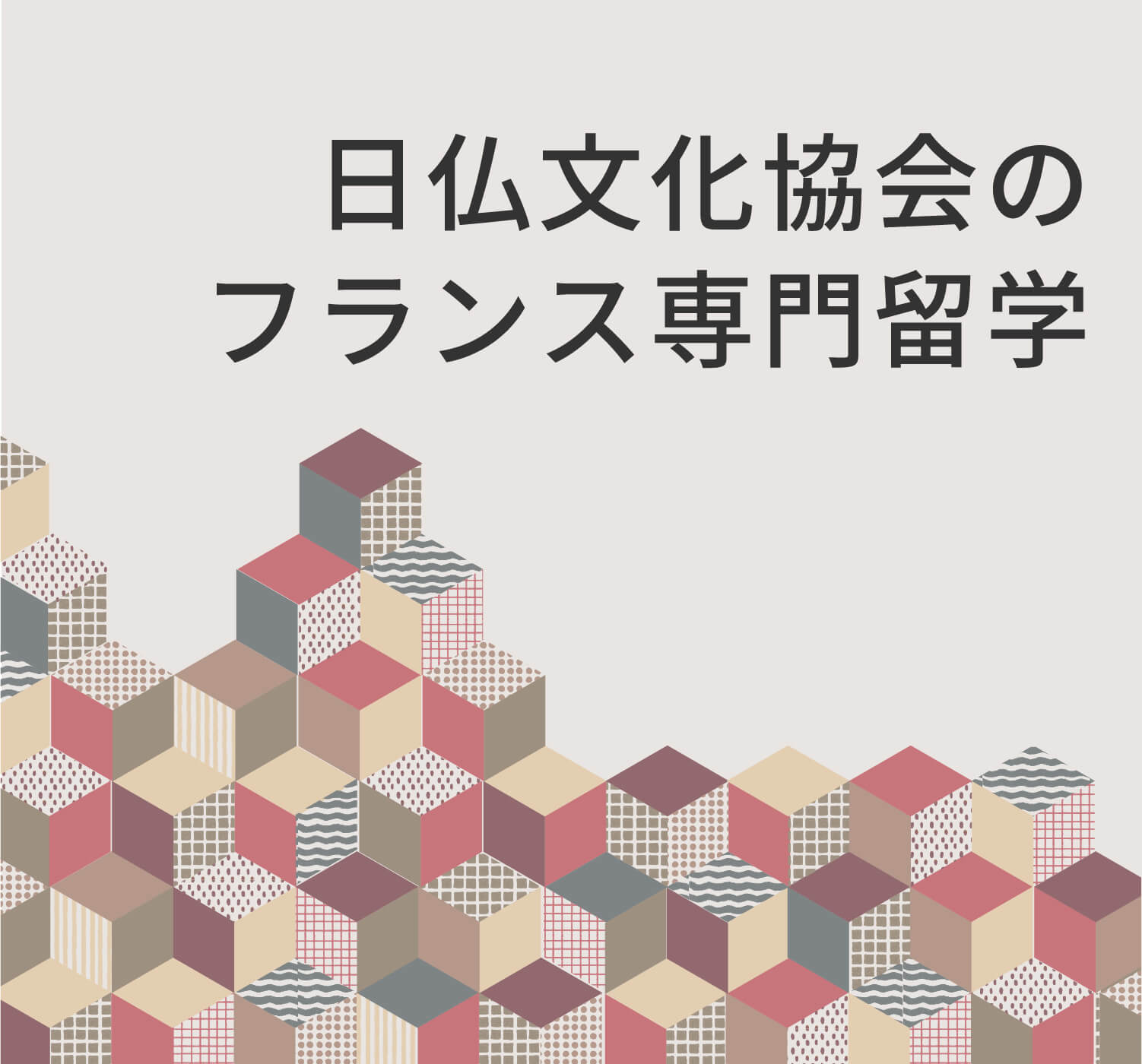 ⽇仏⽂化協会のフランス専門留学