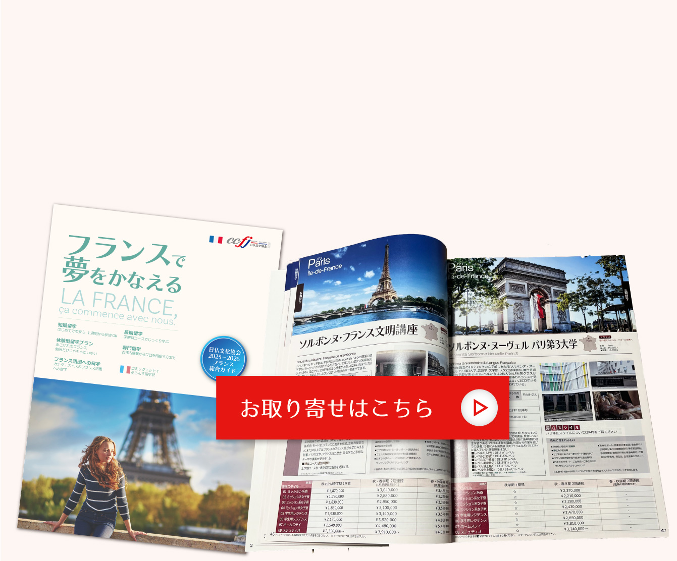 フランス⻑期留学